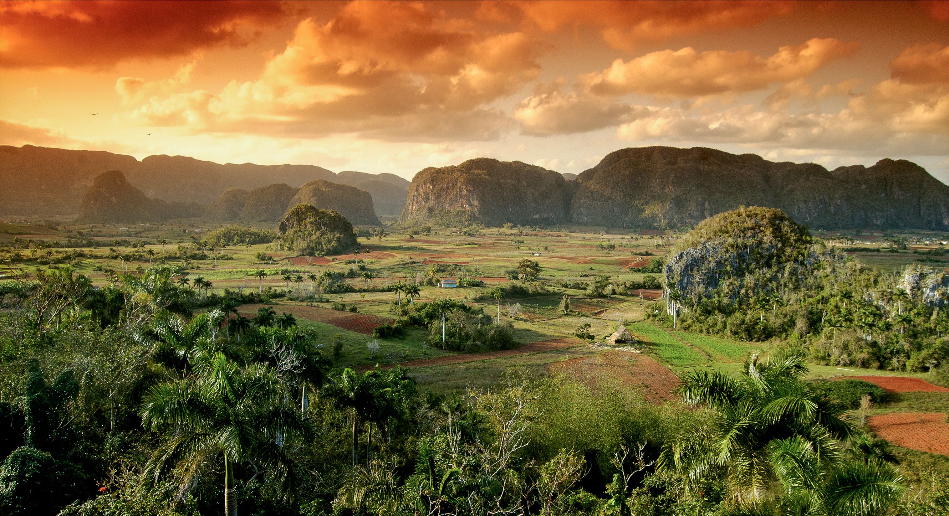 green trees and grass field near mountain during daytime